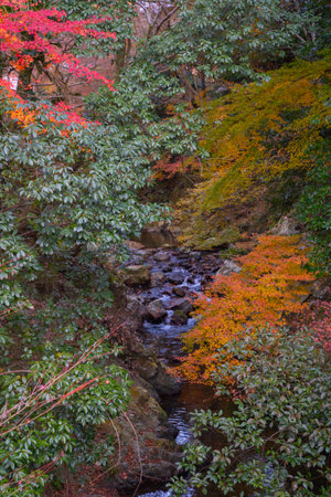 View along the way in Autumn season to Minoo waterfall at Minoo park, Osaka,Japan.の写真素材