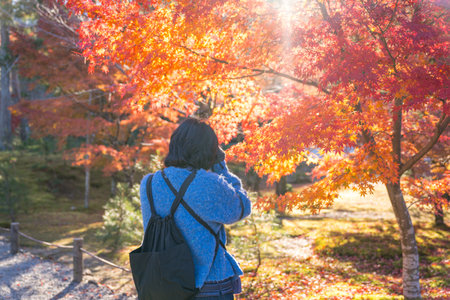 Woman take a photo of autumn leaves in the park at kyoto japanの写真素材