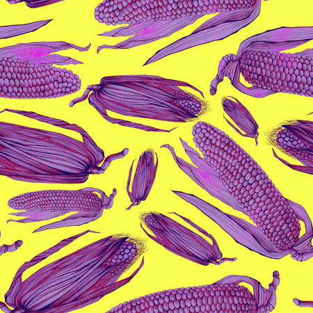 Corn graphic color seamless pattern sketch illustration . Agricultureの写真素材