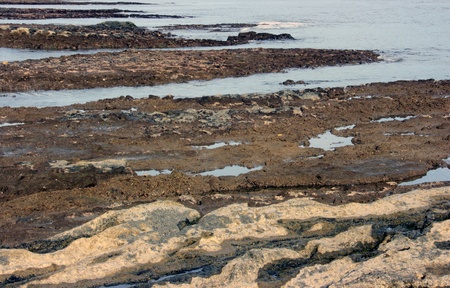 Rock bed on a shore on low tide