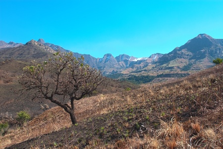 Drakenberg Mountainsの写真素材