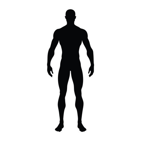 This image features a striking black silhouette of a muscular man standing tall The figure exudes power and strength His stance is confident and the defined muscles suggest dedication to fitness and physical prowess The simple black and white contrast allows for versatility in design and usage Use this image to represent fitness goals strength training or athletic achievement Perfect for gyms personal trainers or any project needing a strong male figureのイラスト素材