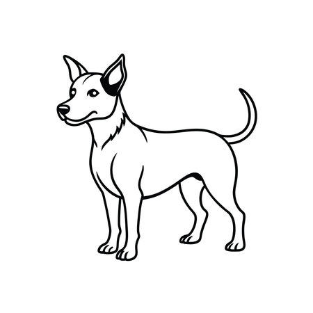 A simple but elegant black and white illustration of a small breed dog The canine is standing still in a neutral pose and has a friendly expression The outline style is clean and modern making it versatile for various design applications The image captures the essence of a domestic pet animal It is a vector graphic suitable for posters logos or illustrations in booksのイラスト素材