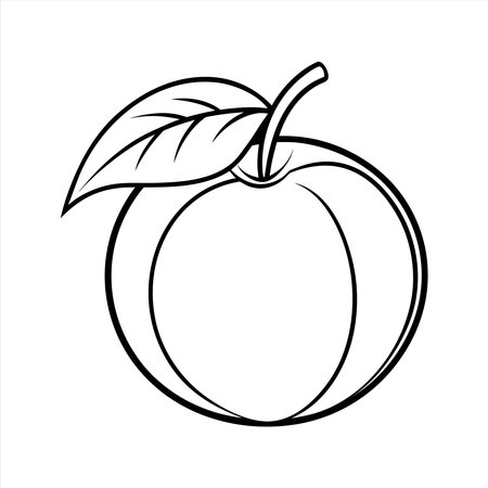 This is a line drawing of a single orange with a leaf and stem attached The image is isolated on a white background The style is simple and illustrative perfect for a coloring book page or a basic illustration of fruit The black lines are clear and well defined making it easy to color in The orange is round and smooth with a single leaf sprouting from the stem Perfect graphic elementのイラスト素材