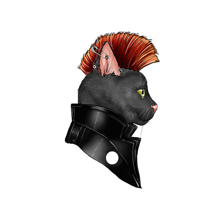 hand drawn illustration of a cat dressed as a punk rock characterの写真素材