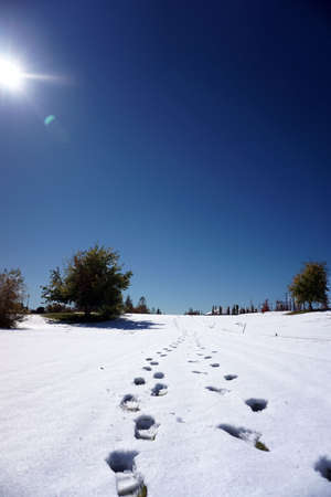 A Distant Trailの写真素材