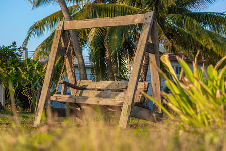 Old abandoned swing in the palm groveの写真素材