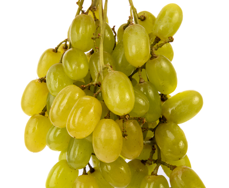 Bunch of grapes isolatedの写真素材