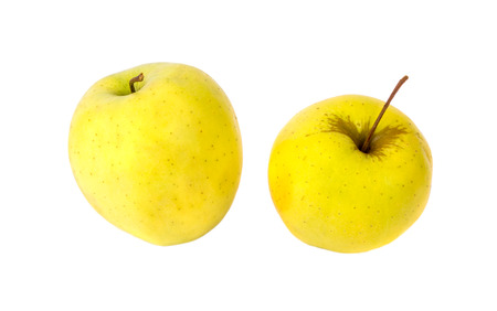 Yellow green apples isolatedの写真素材