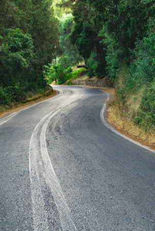 Road through forestの写真素材