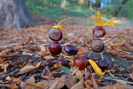 A chestnut puppet family hiking in an october afternoon 