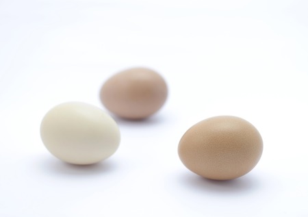 Three hen
