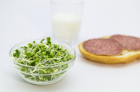 A bowl of alfalfa sproutsの写真素材