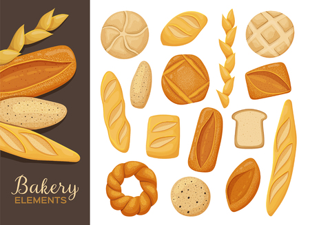 Set of various sorts of fresh bread isolated on white. Bakery products poster. Vector illustration.のイラスト素材
