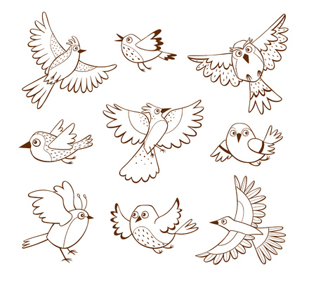 Hand drawn flying birds in different poses, isolated on white background. Vector illustration.のイラスト素材