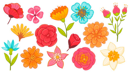 Cute hand-drawn colorful floral set, perfect for decorating surfaces, prints and crafting projects. A total of 14 isolated items. Vector illustration.のイラスト素材