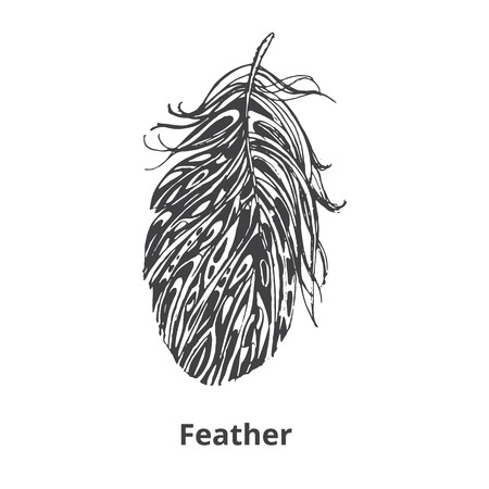 decorative featherのイラスト素材