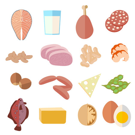 set of products, protein diet, icons flat designのイラスト素材