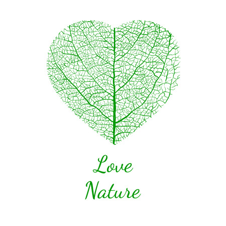love nature, vectorのイラスト素材