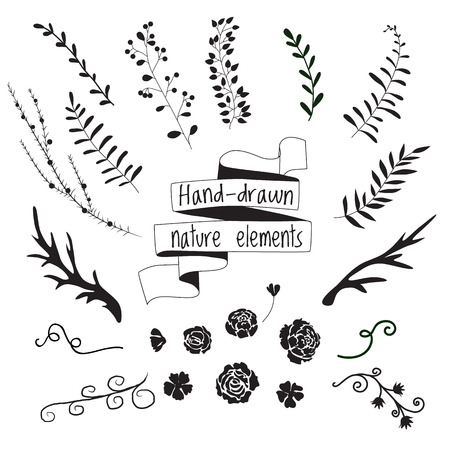 Set of elements of nature for design, silhouettes of flowers, leaves, branches, deer antlers, ribbon bannerのイラスト素材