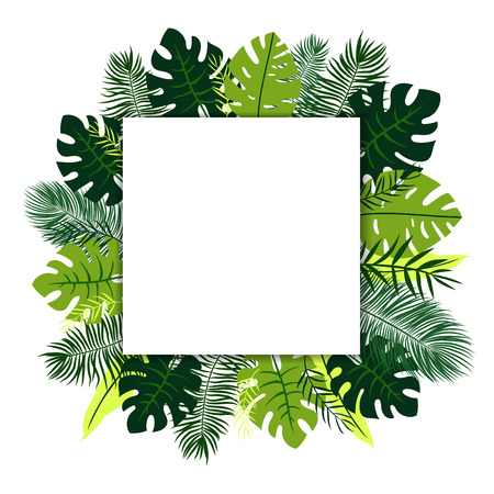 White square on tropical leavesのイラスト素材