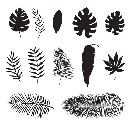 Set of silhouette of tropical leafのイラスト素材
