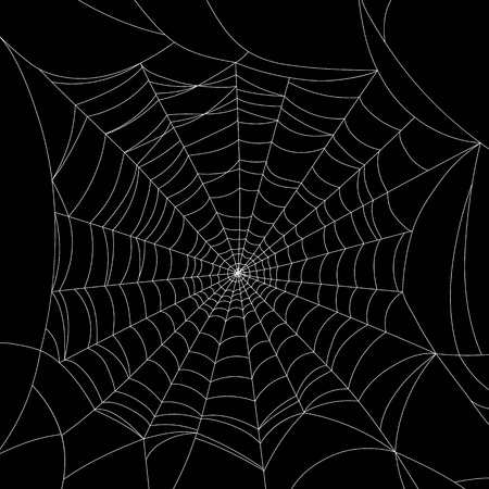 Spider web on black Vector illustration.のイラスト素材