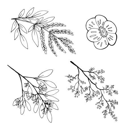 set of hand drawn twigs, sketch plantsのイラスト素材