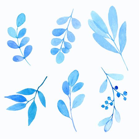 watercolor floral elements isolated on white, blue leaves and branches. vectorのイラスト素材