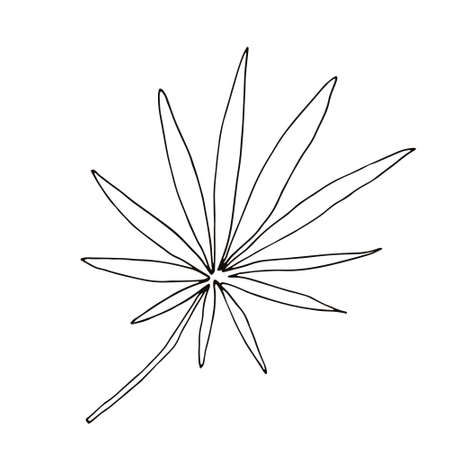 abstract tropical leaf isolated on whiteのイラスト素材