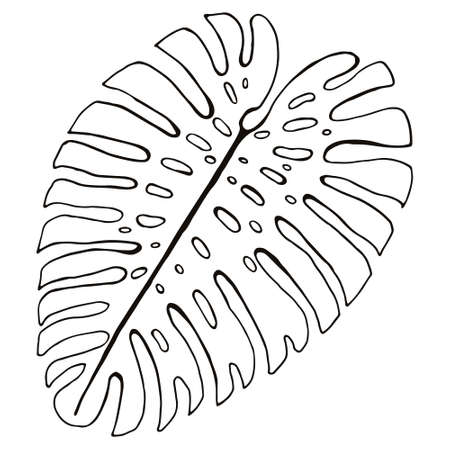 abstract tropical leaf isolated on white. Floral sketch. Social media story floral element. Philodendron leafのイラスト素材