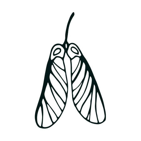 Single doodle leaf isolated on white. Hand drawn decorative branch with leaves. Design for social networks, web, advertisingのイラスト素材