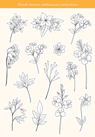 Botanical stickers set. Collection of hand drawn flowers and branchesのイラスト素材
