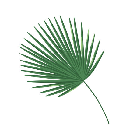 Palm Leaf. Flat style illustrationのイラスト素材