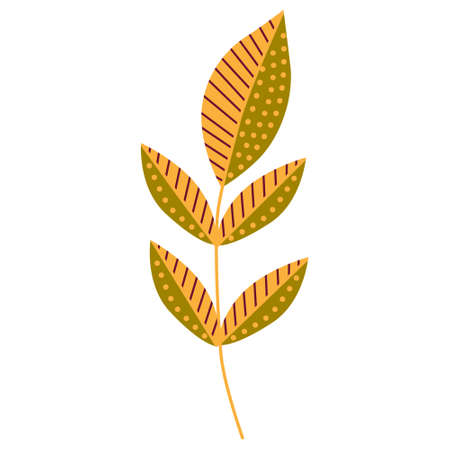 stylized autumn leaf, flat design, isolated on whiteのイラスト素材