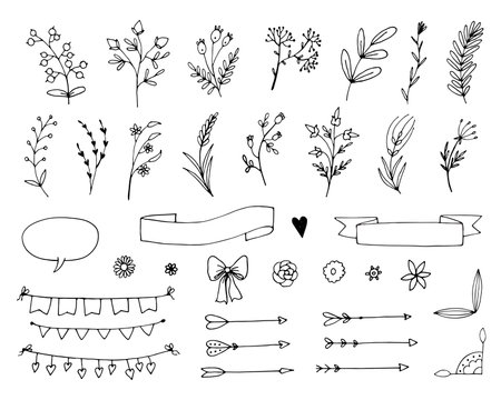 collection forest fern eucalyptus art foliage natural leaves herbs in line style.のイラスト素材