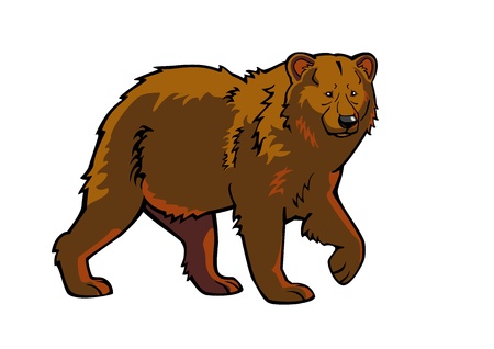 brown bear isolated on white backgroundのイラスト素材