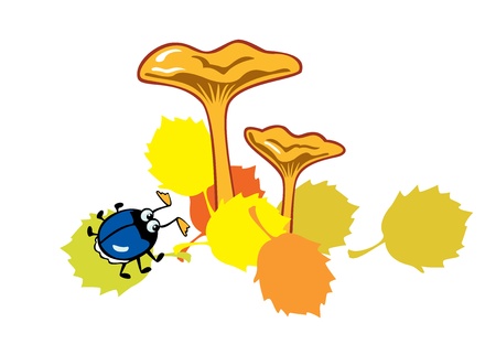 mushroom with beetle isolated on white background children illustrationのイラスト素材