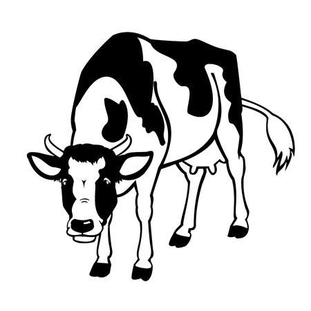 Ilustración de standing cow black and white isolated on white background - Imagen libre de derechos