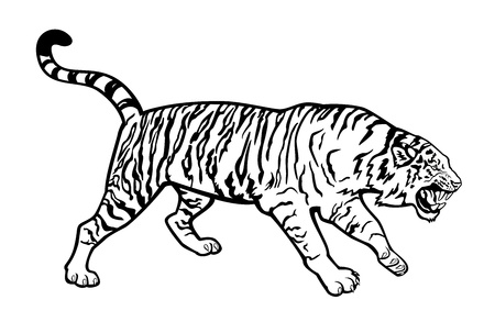 attacking Siberian tiger black and white isolated on white backgroundのイラスト素材