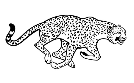 running cheetah black and white horizontal image isolated on white backgroundのイラスト素材