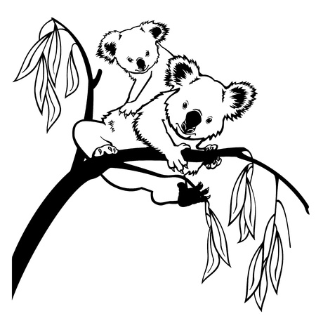 koala bear with joey climbing eucalyptus tree black and white picture isolated on white backgroundのイラスト素材