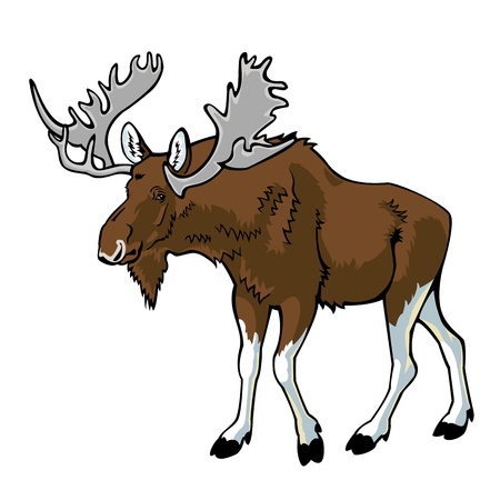 moose のイラスト素材