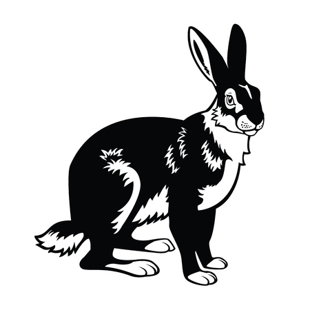 sitting European,forest animal, hare,black and white vector picture isolated on white backgroundのイラスト素材
