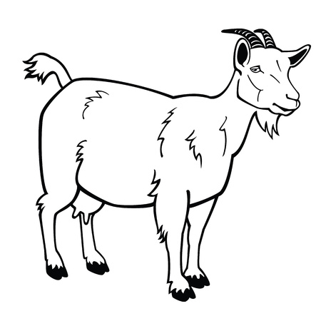 standing goat,black and white vector image,side view contour pictureのイラスト素材