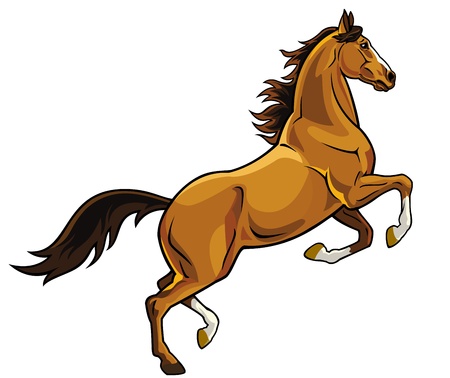 horse,rearing,image isolated on white background,brown stallion pictureのイラスト素材