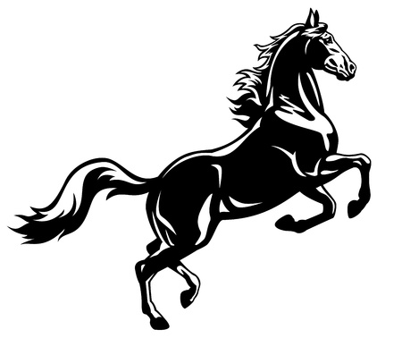 horse,rear,black and white picture isolated on white background,rearing black stalion,tattoo illustrationのイラスト素材