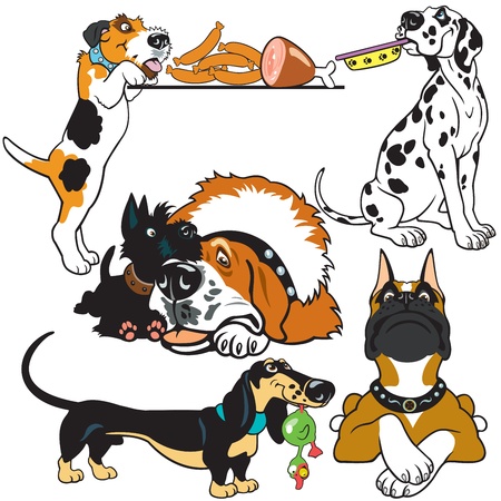 set with dog breeds,cartoon pictures isolated on white background,vector imagesのイラスト素材
