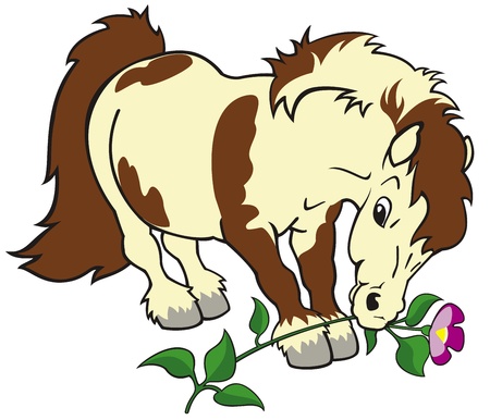 horse,shetland pony with flower,cartoon image isolated on white background,children illustration, image for little kidsのイラスト素材