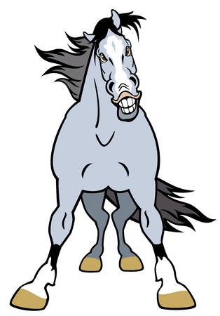 horse front view,cartoon picture isolated on white backgroundのイラスト素材
